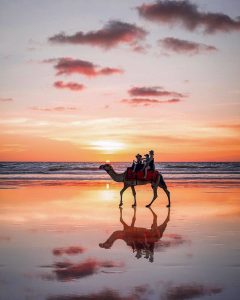 Camel Ride on Cable Beach WA